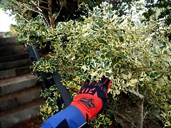 DSCN4363 DSCN4363