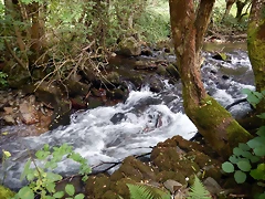 DSCN9770 DSCN9770