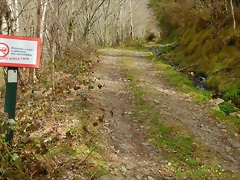 DSCN9174.JPEG DSCN9174.JPEG