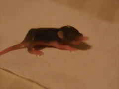 DSC06614