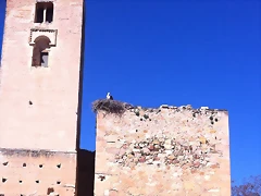 IMG_1135 IMG_1135