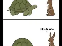 Tortugamas_1