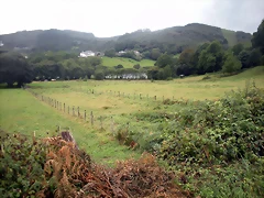 DSCN8366 DSCN8366