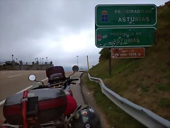 43