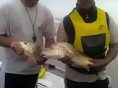 corvina en playa serena