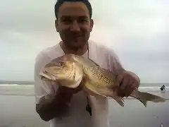 mi hermano y la corvina