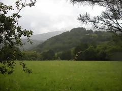 DSCN4727 DSCN4727