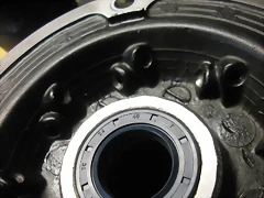 10 DSCN0284 10 DSCN0284