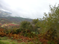 DSCN5882 DSCN5882