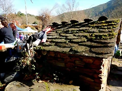DSCN1100 DSCN1100