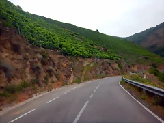 DSCN6146 DSCN6146