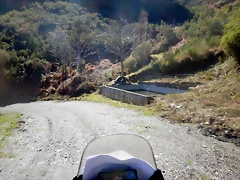 DSCN2584 DSCN2584
