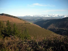 DSCN2514 DSCN2514