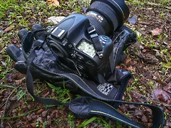 IMG_20161207_122256#1atce