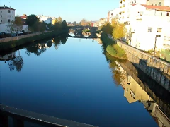 DSCN6513 DSCN6513