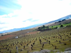 DSCN3127 DSCN3127