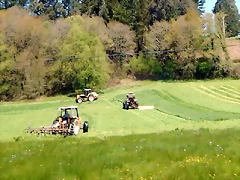 DSCN4958 DSCN4958
