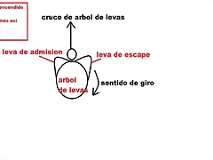 cruce de levas cruce de levas