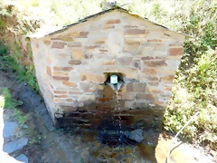 DSCN7751 DSCN7751