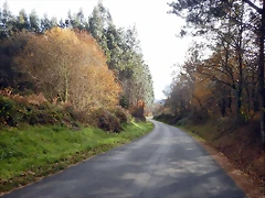 DSCN9402 DSCN9402