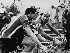 MOSER,MERCKX,1977