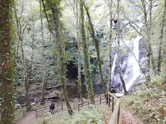 DSCN8696 DSCN8696