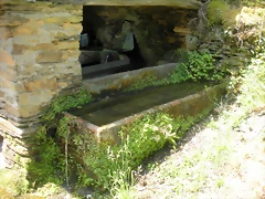 DSCN5781 DSCN5781