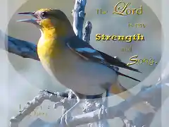 strength_and_song