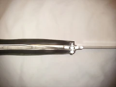 BLV SV1_2 BLV SV1_2