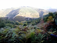 DSCN8483