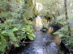 DSCN9726 DSCN9726