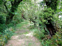 DSCN4343 DSCN4343