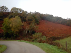 DSCN2704 DSCN2704
