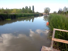 DSCN8055 DSCN8055