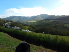 DSCN8397 DSCN8397