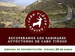Revive Cabo Tin?oso Cartel 20 enero 2018