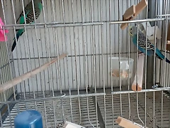 IMG_20250605_085349