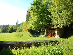 DSCN2422