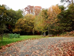 DSCN1311