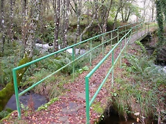 DSCN5785 DSCN5785