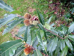 DSCN5303 DSCN5303