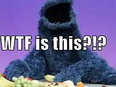 cookie-monster-wtf-is-this