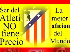 forza atleti