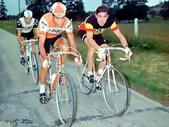 OCAA-MERCKX-ADORNI-1970.