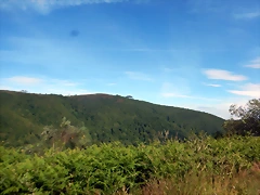 DSCN3203 DSCN3203
