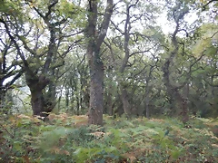 DSCN9410 DSCN9410