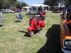 SDC13561 SDC13561