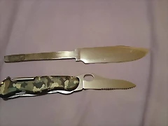 Bowie convexo2