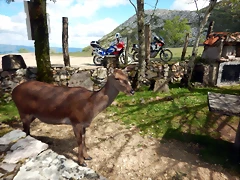 DSCN0623 DSCN0623