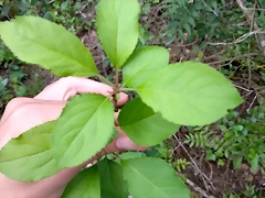 IMG_20180507_194432
